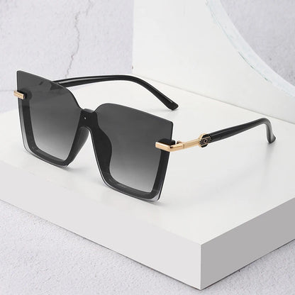 Radiant large frame sunglasses