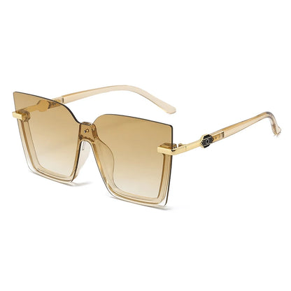 Radiant large frame sunglasses